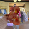 Flowerclip tan large