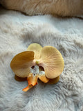 Shoe Clip golden