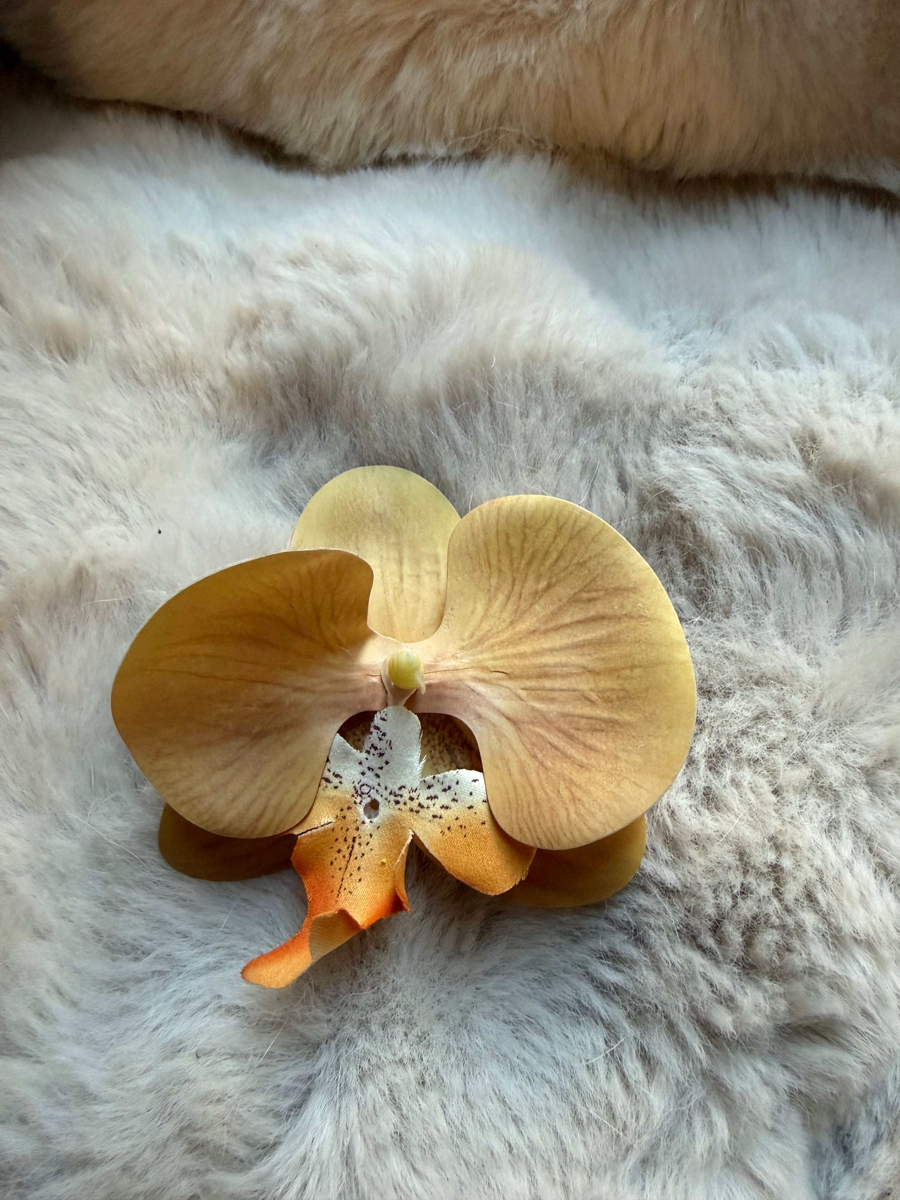 Shoe Clip golden