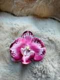 Shoe Clip hot pink