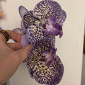 Flowerclip leopard 2.0 large