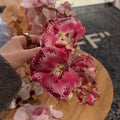 Flowerclip hot pink large