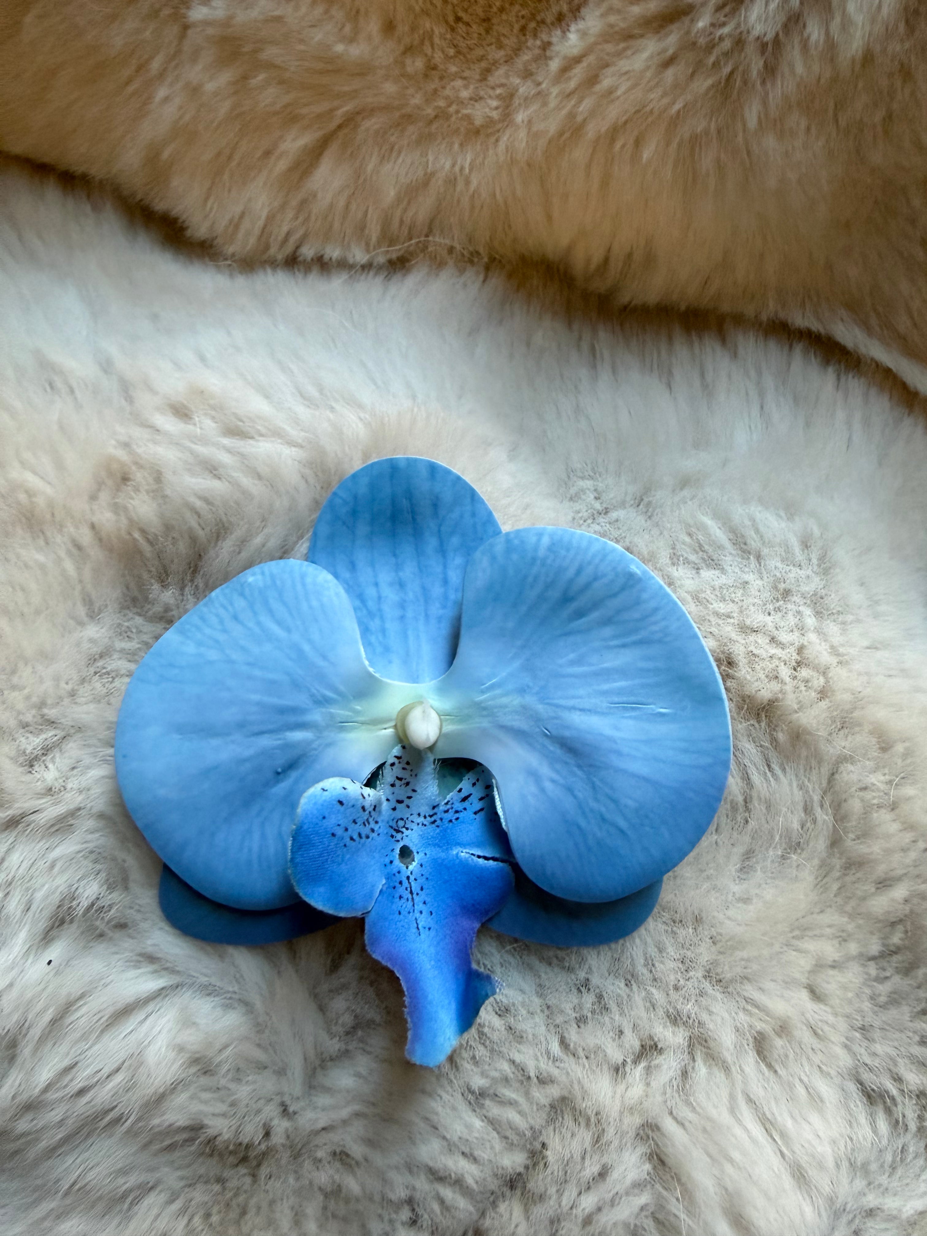 Shoe Clips Blue