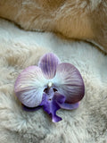 Shoe Clip lavender